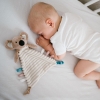 BABYONO Plss szundikend Charlie koala 1559